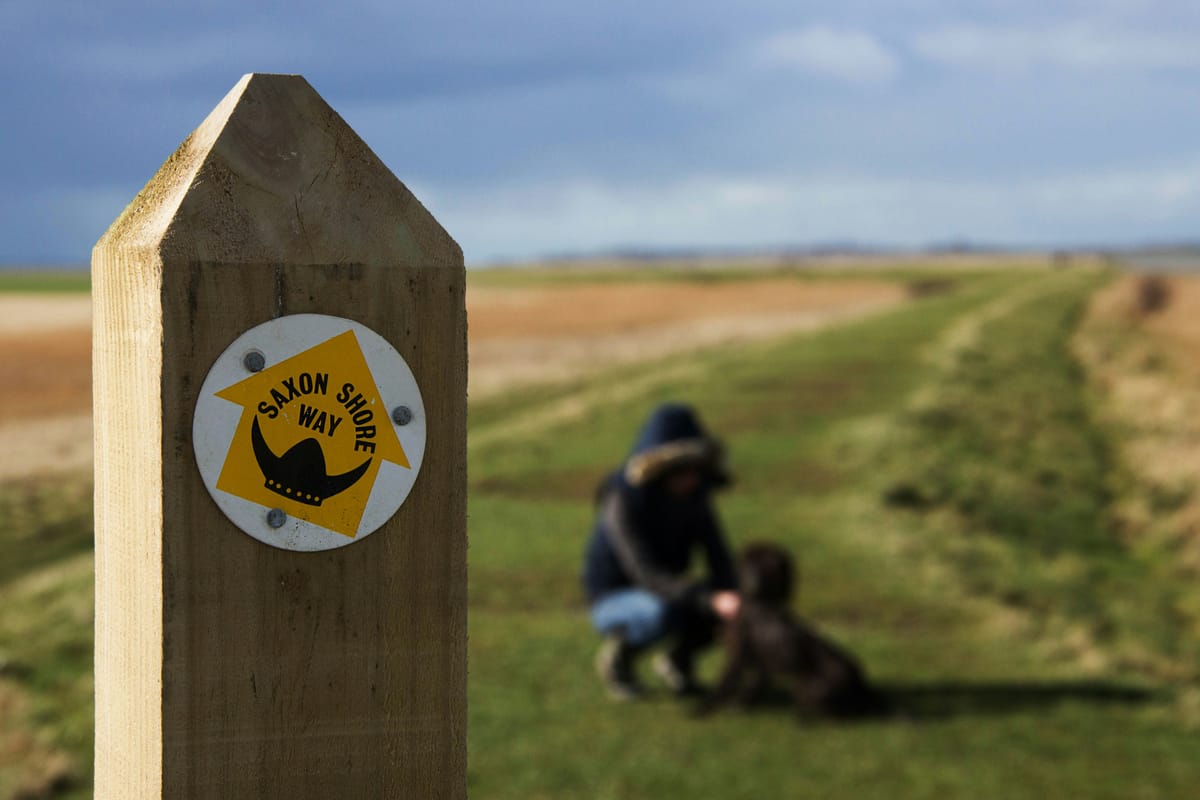 "The Anglo-Saxon conscience does not prevent the Anglo-Saxon from sinning, it merely prevents him from enjoying his sin." - Salvador De Madariaga