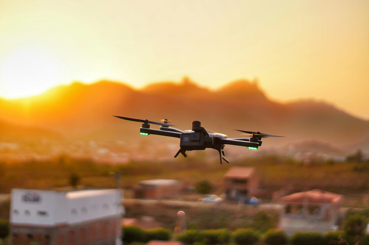 The opossum is a very sophisticated animal. It doesn't even get up until 5 or 6 PM.