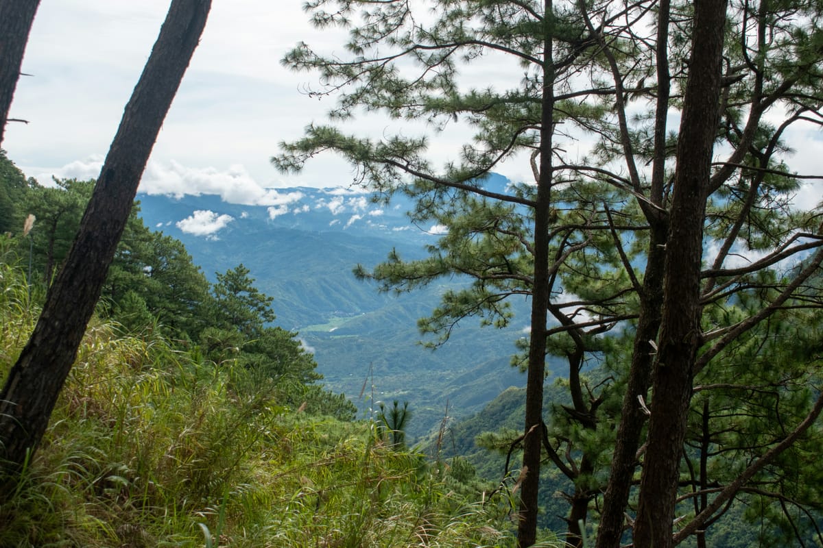 "There is no proverb that is not true." - Cervantes