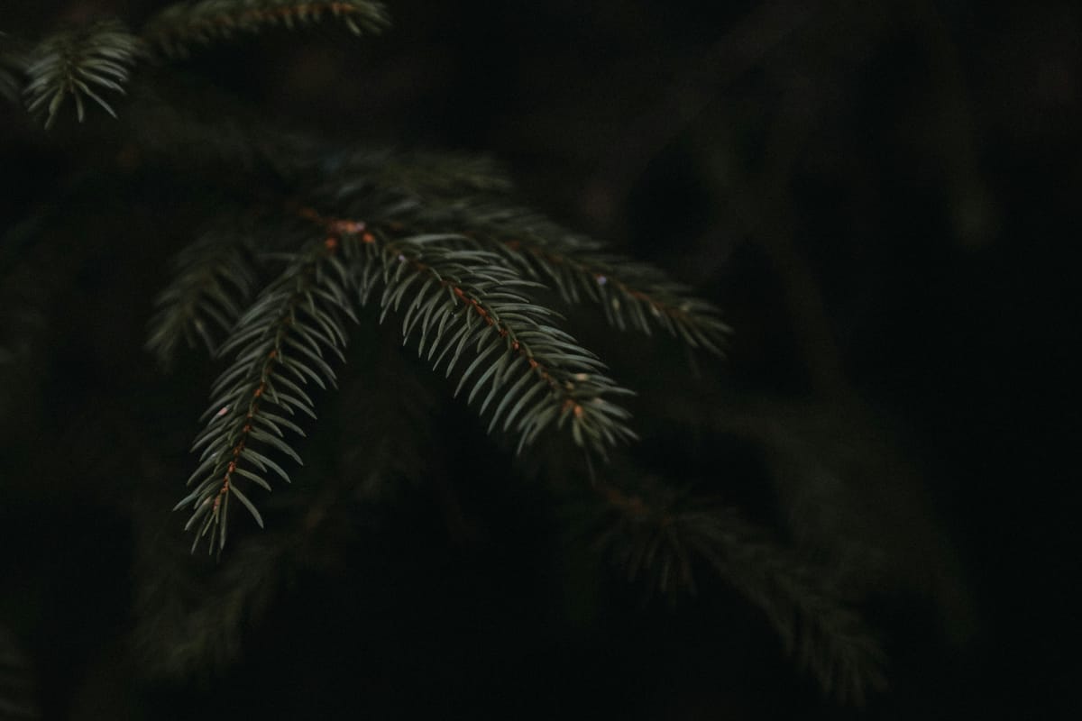 "Patience is the best remedy for every trouble." - Titus Maccius Plautus