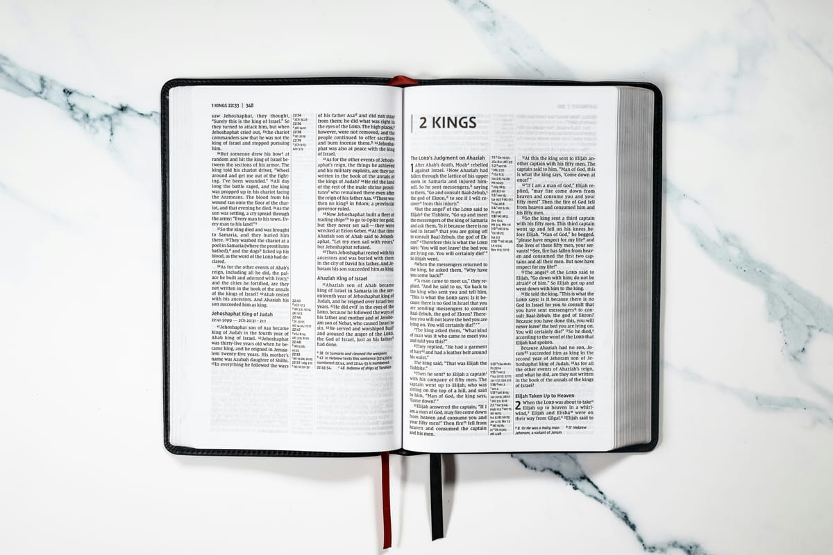 "I'd horsewhip you if I had a horse." - Groucho Marx