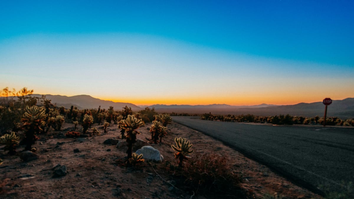 "In California they don't throw their garbage away" - they make it into television shows. -- Woody Allen, "Annie Hall"