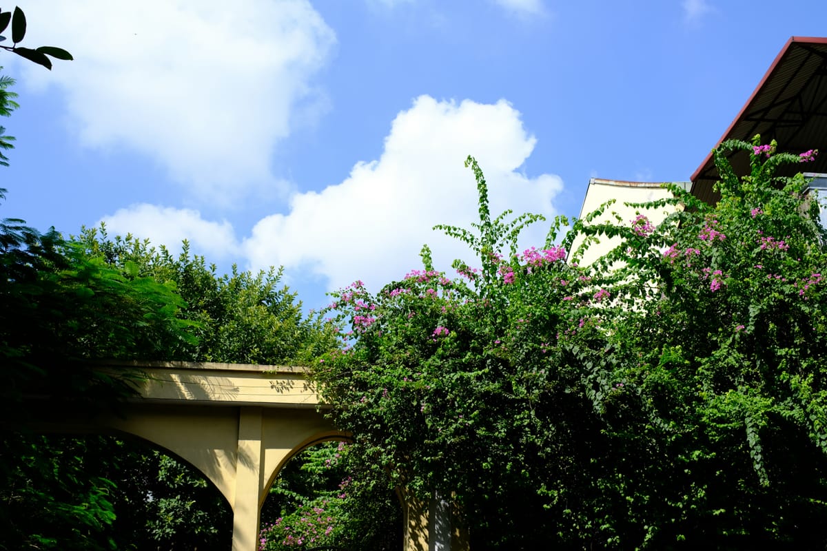 "Once, adv.: Enough." - Ambrose Bierce, "The Devil's Dictionary"