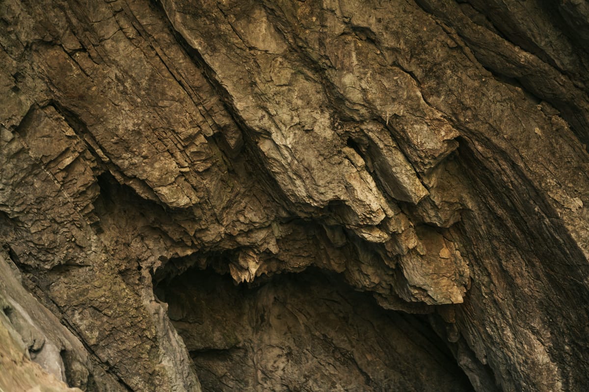 Individualists unite!