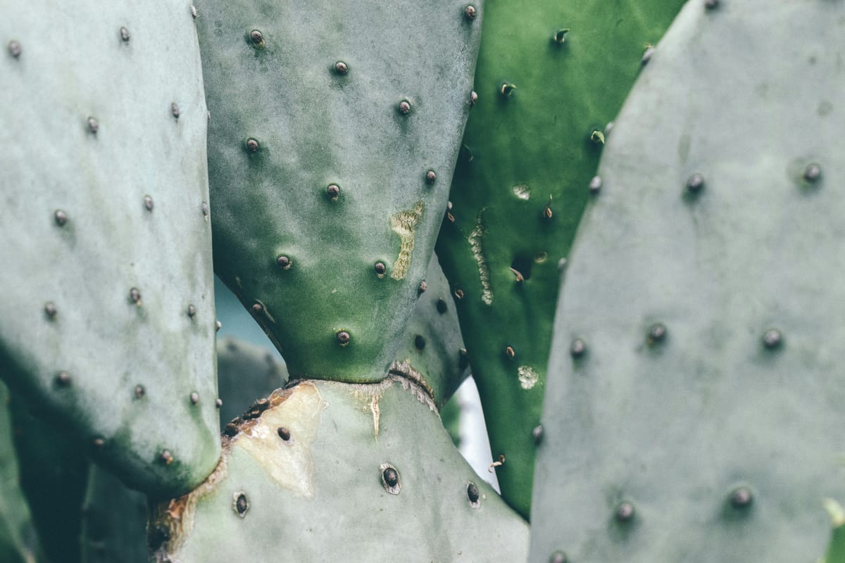 You're growing out of some of your problems, but there are others that you're growing into.