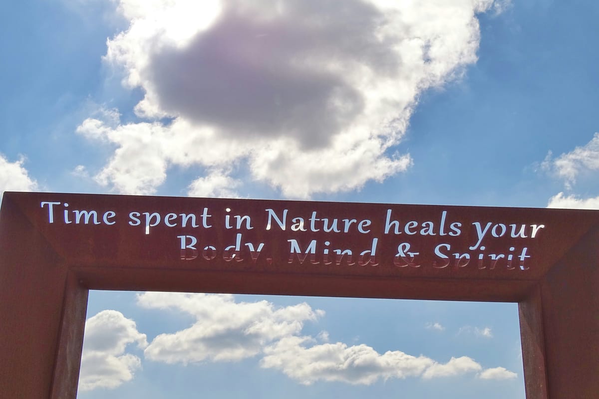 "Every why hath a wherefore." - William Shakespeare, "A Comedy of Errors"