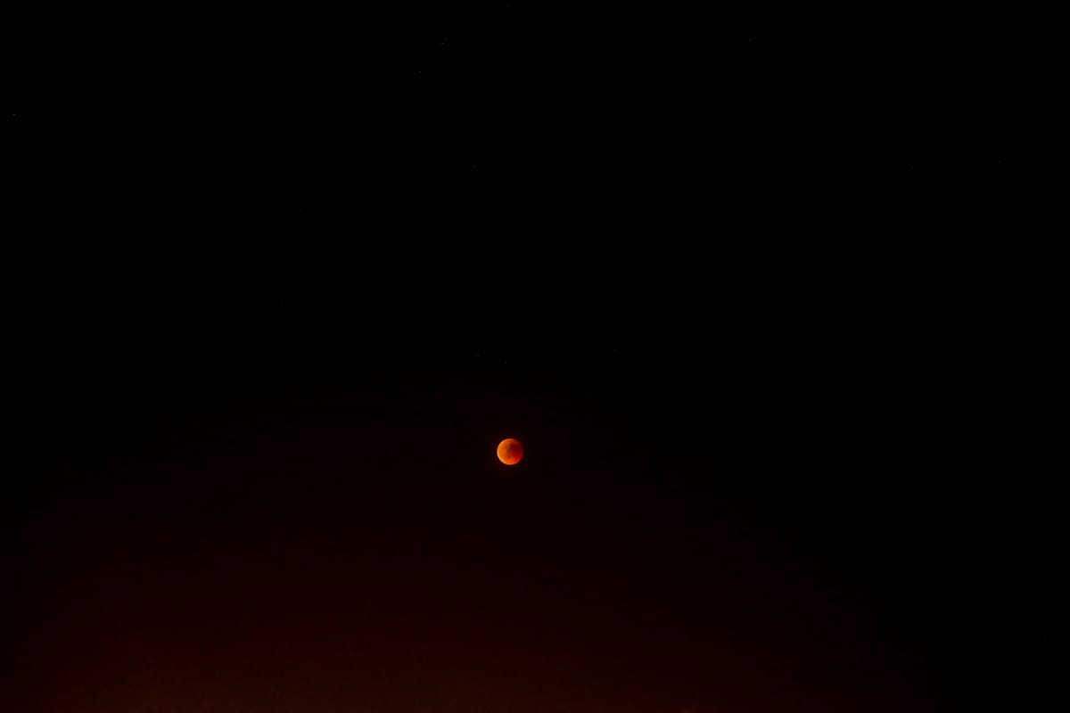 Another good night not to sleep in a eucalyptus tree.