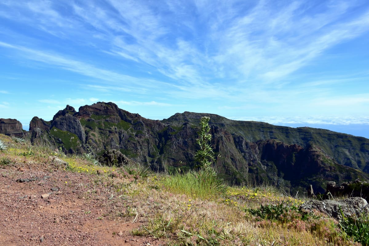 "Novinson's Revolutionary Discovery: When comes the revolution, things will be different" - not better, just different.