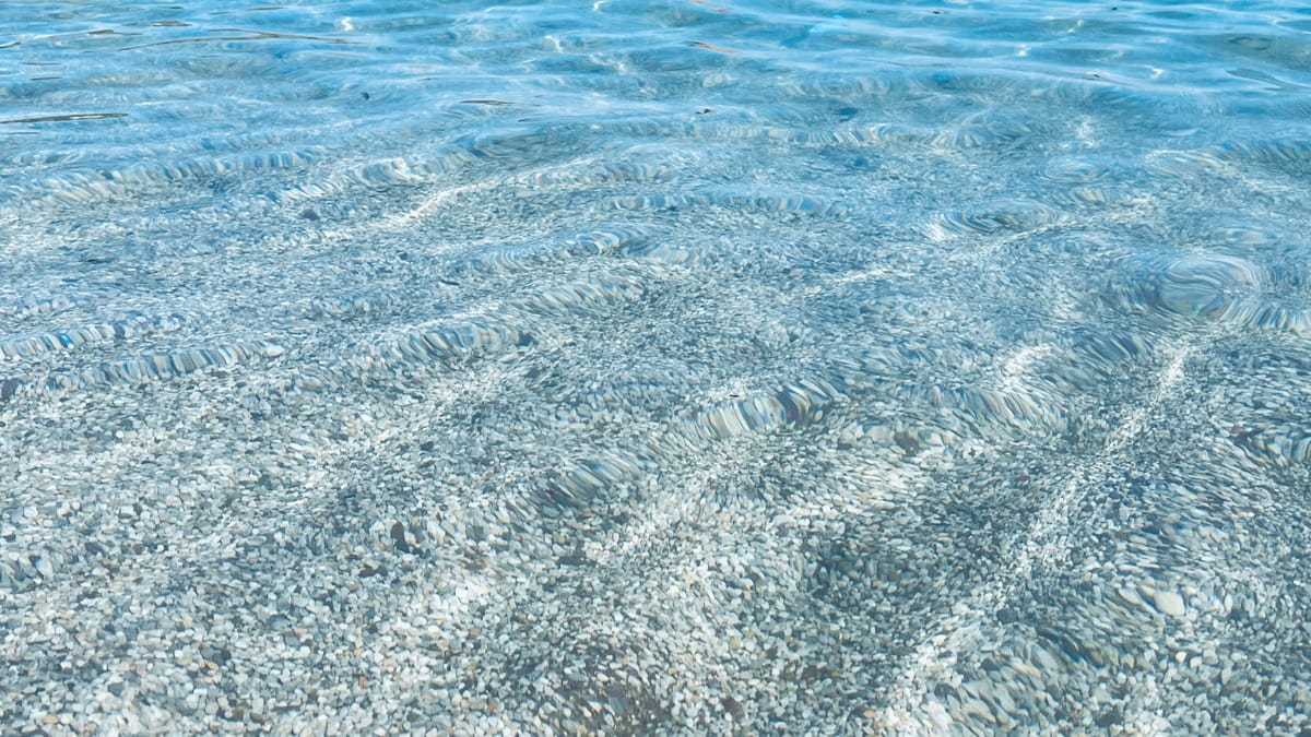 A man with 3 wings and a dictionary is cousin to the turkey.