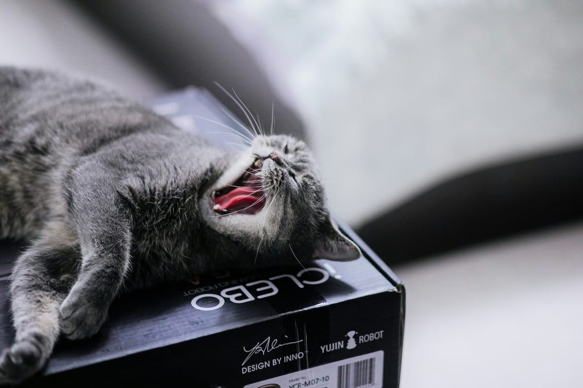 The one good thing about repeating your mistakes is that you know when to cringe.