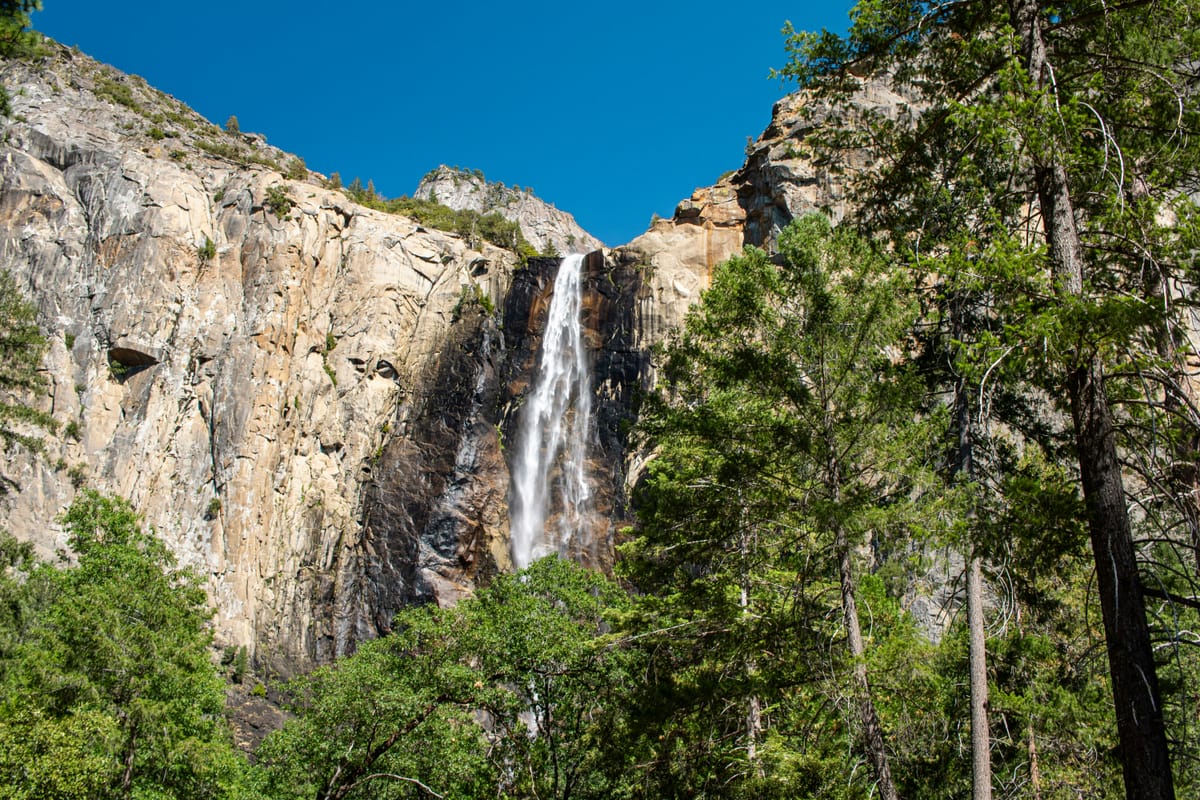 HIGH TECHNOLOGY: A California innovation composed of equal parts of silicon and marijuana.