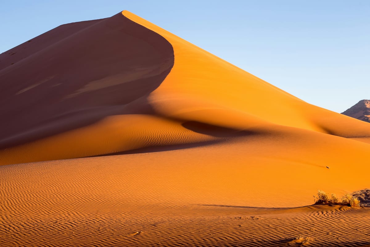If you stick your head in the sand, one thing is for sure, you're gonna get your rear kicked.