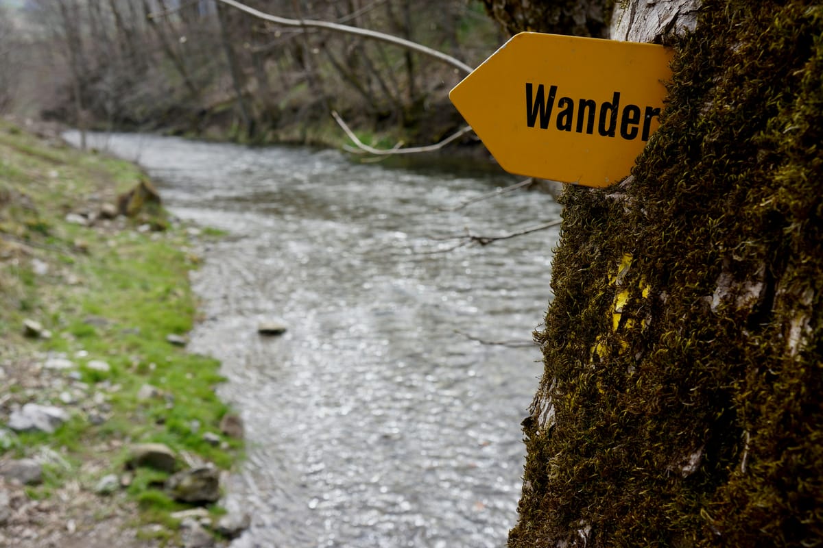 "Never laugh at live dragons." - Bilbo Baggins, "The Hobbit"