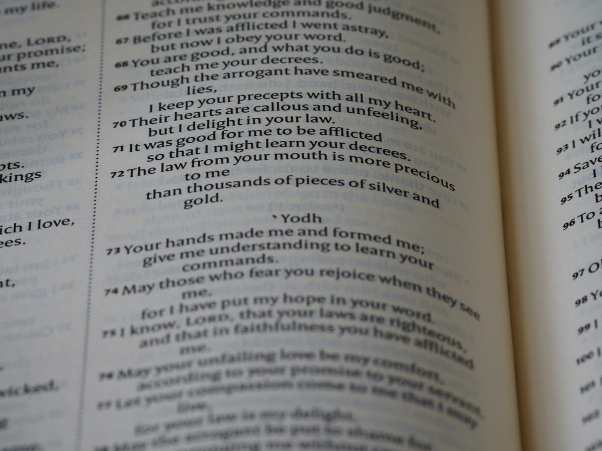 "There is no proverb that is not true." - Cervantes