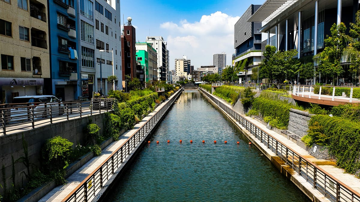 Got a complaint about the Internal Revenue Service? Call the convenient toll-free "IRS Taxpayer Complaint Hot Line Number": 1-800-AUDITME