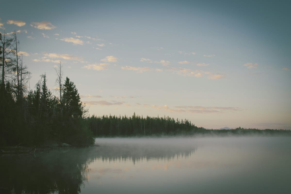 Reality always seems harsher in the early morning.