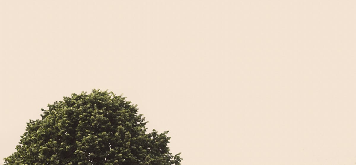 There's nothing like a girl with a plunging neckline to keep a man on his toes.