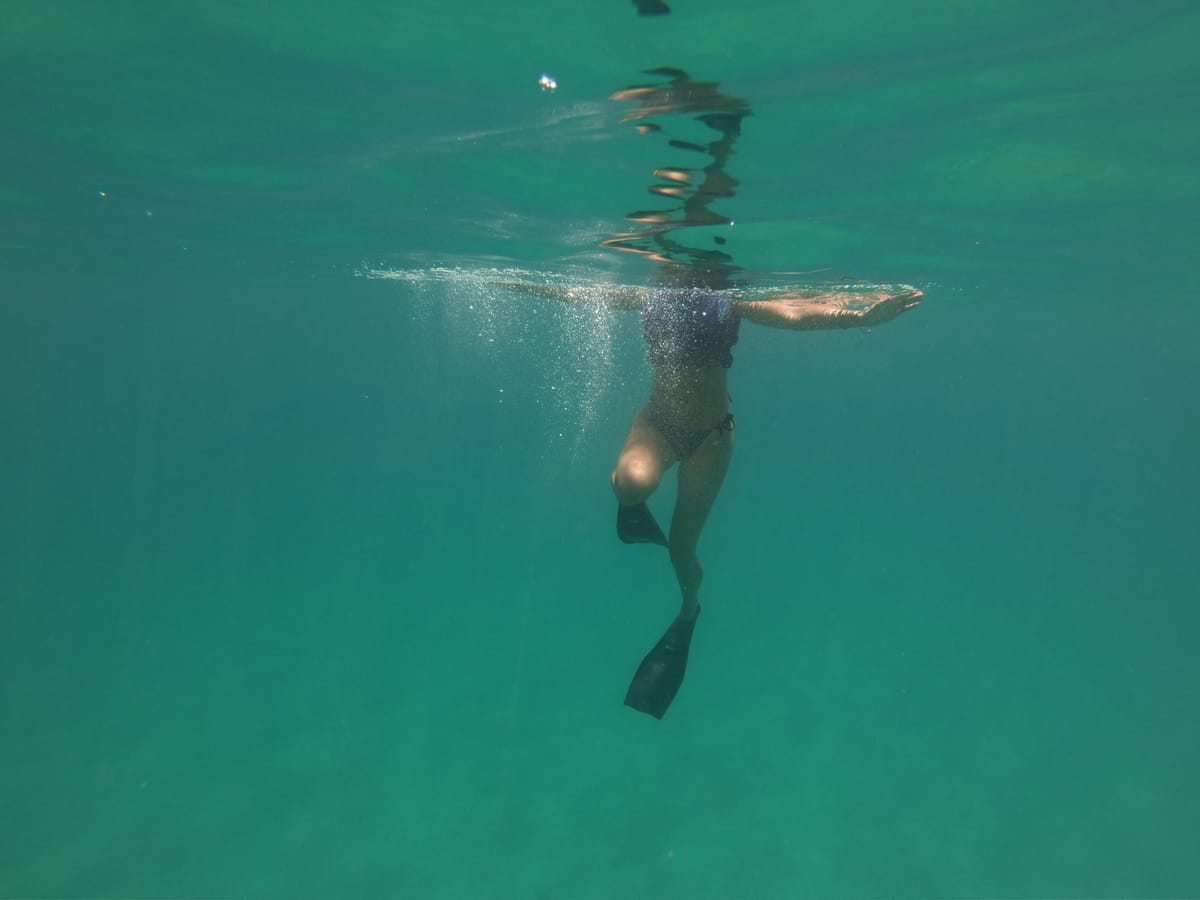 Sink or Swim with Teddy!