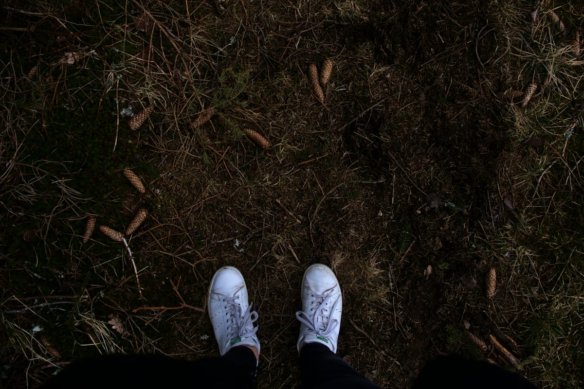 "That's one small step for a man; one giant leap for mankind." - Neil Armstrong
