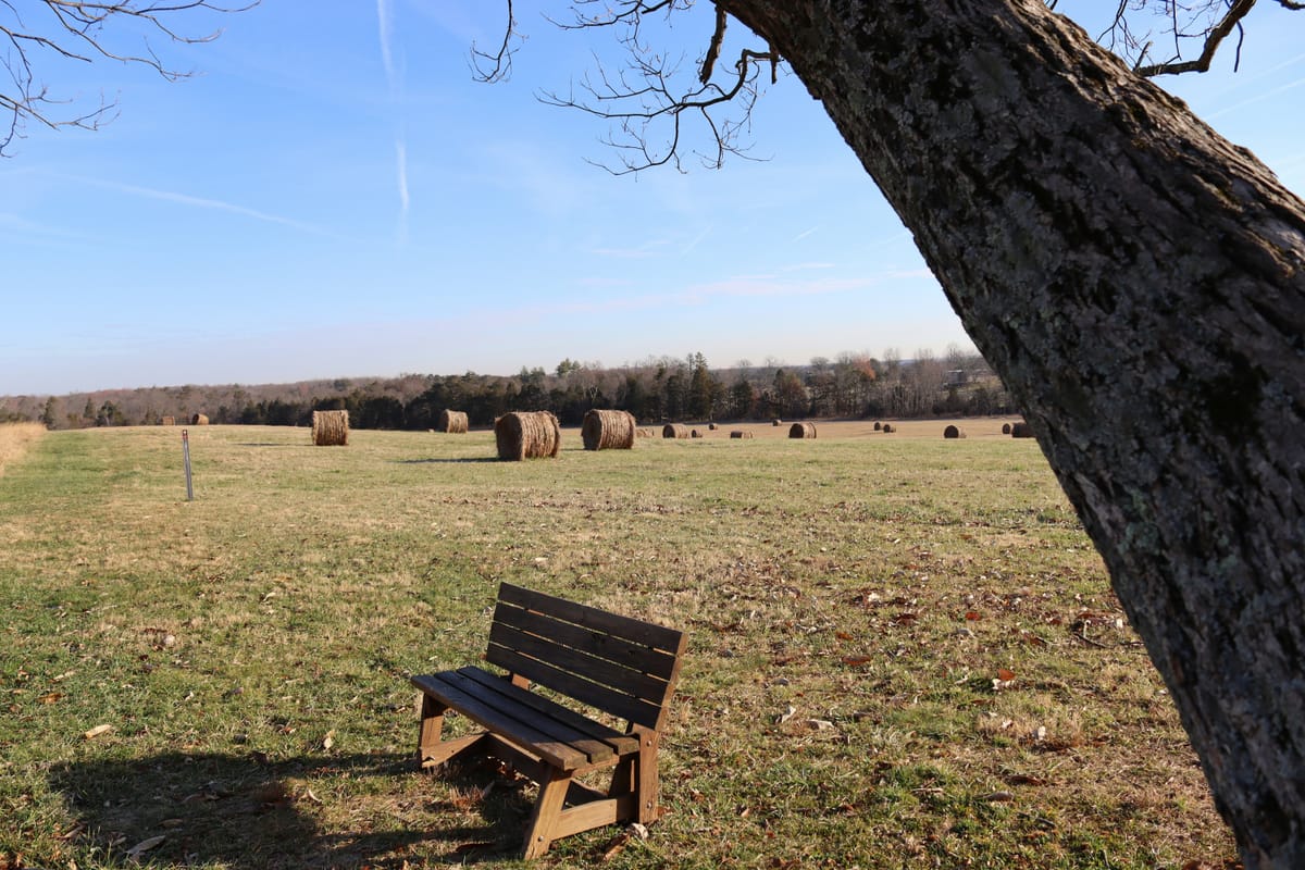 Rule of Creative Research: 1) Never draw what you can copy. 2) Never copy what you can trace. 3) Never trace what you can cut out and paste down.