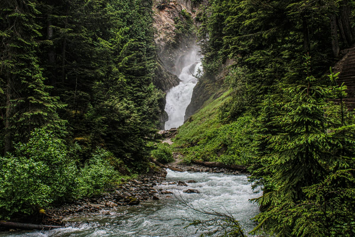" " - Charlie Chaplin " " -- Harpo Marx " " -- Marcel Marceau