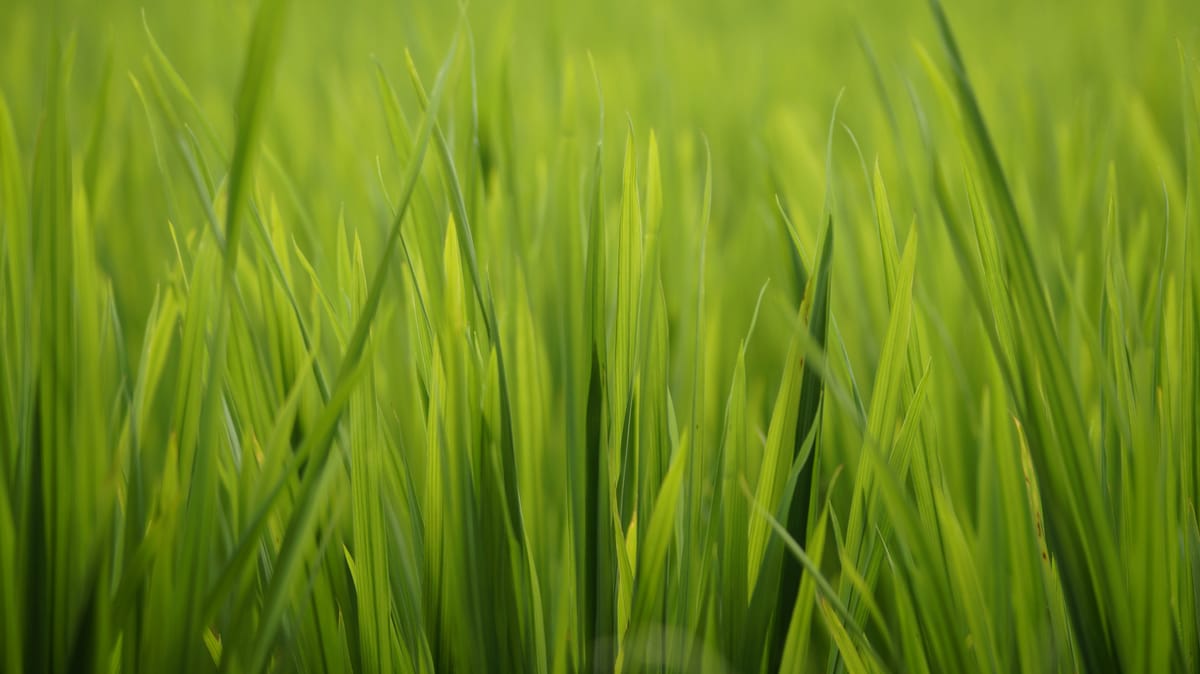 "If little green men land in your back yard, hide any little green women you've got in the house." - Mike Harding, "The Armchair Anarchist's Almanac"