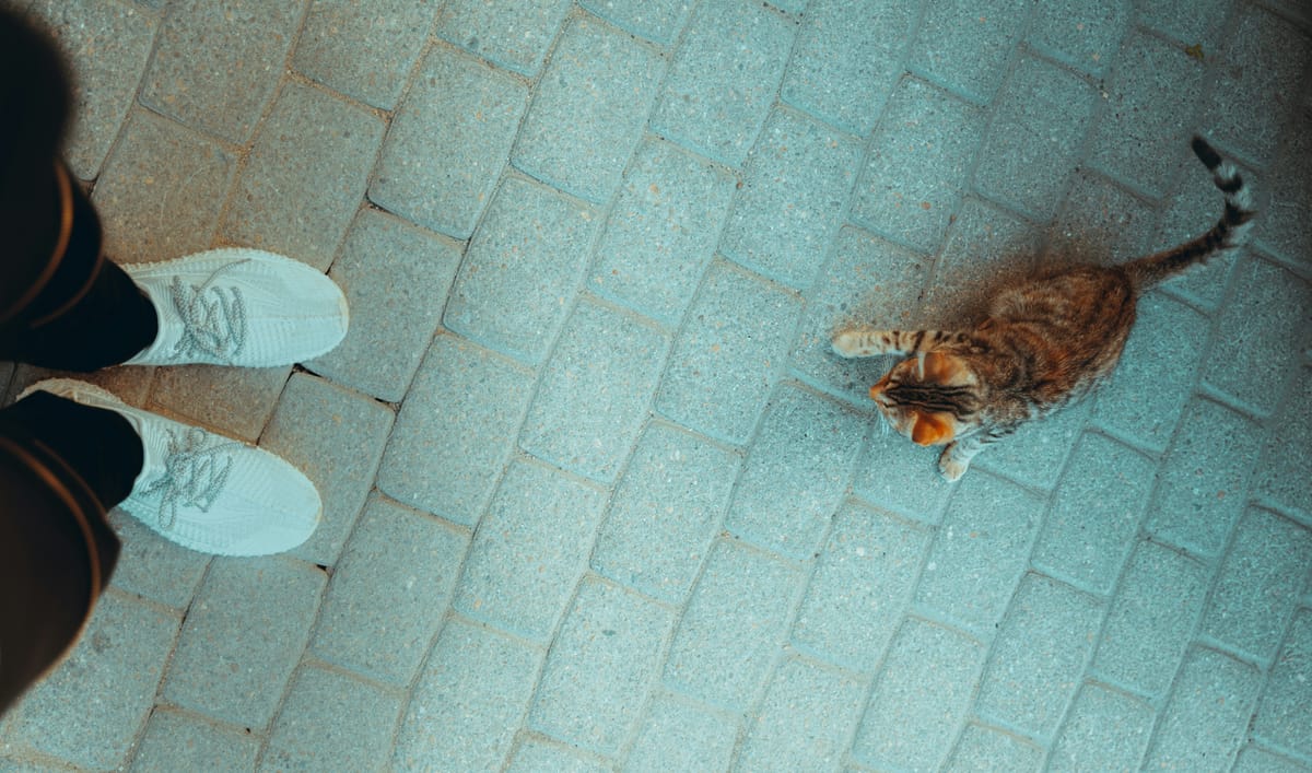 Paul's Law: You can't fall off the floor.