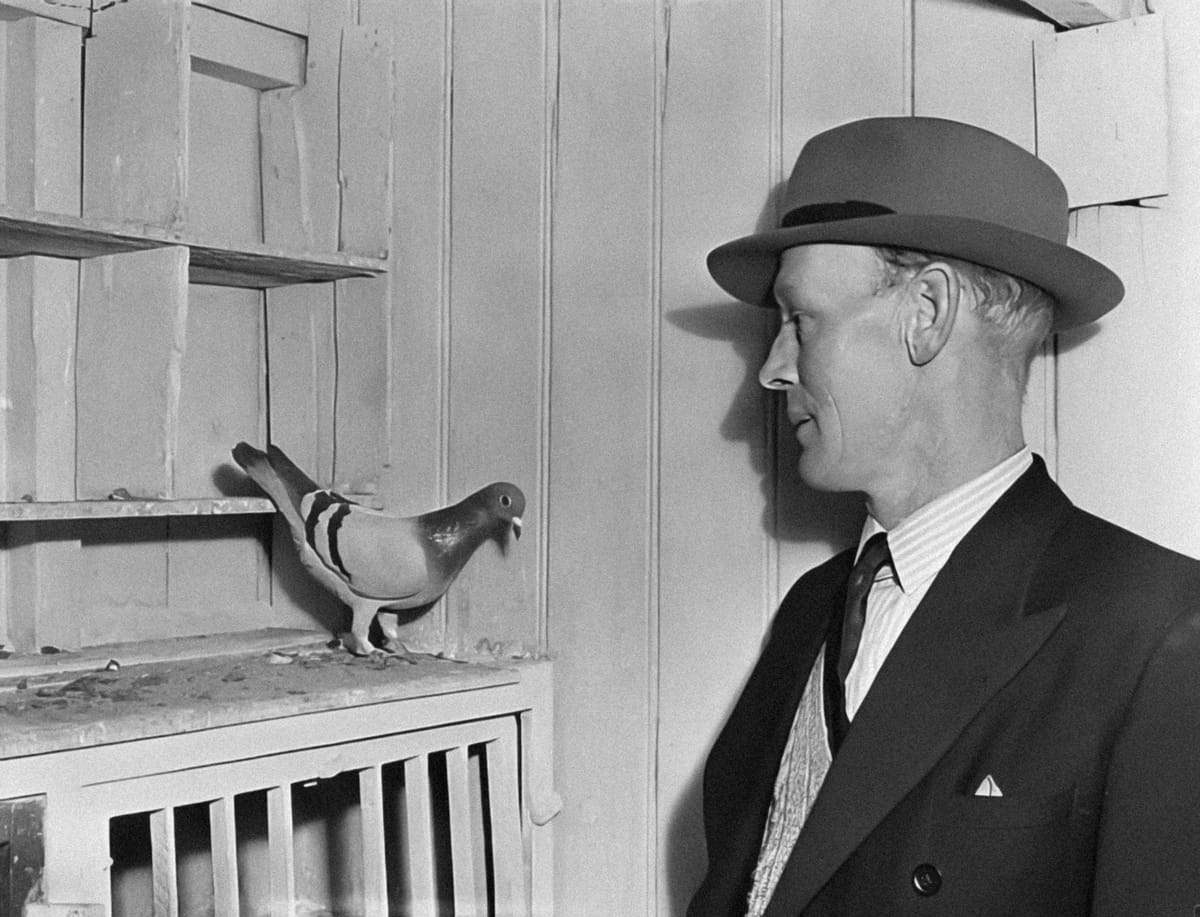 "Rules for Academic Deans: (1) HIDE!!!! (2) If they find you, LIE!!!!" - Father Damian C. Fandal