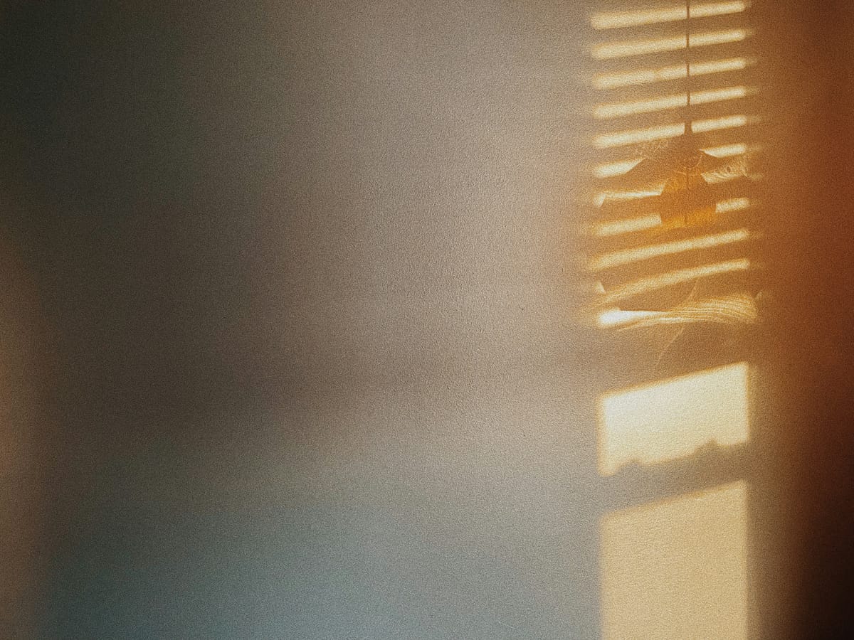 "Life is a hospital in which every patient is possessed by the desire to change his bed." - Charles Baudelaire