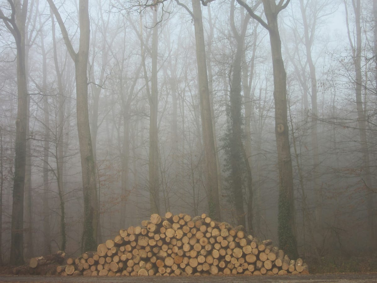 "As crazy as hauling timber into the woods." - Quintus Horatius Flaccus (Horace)