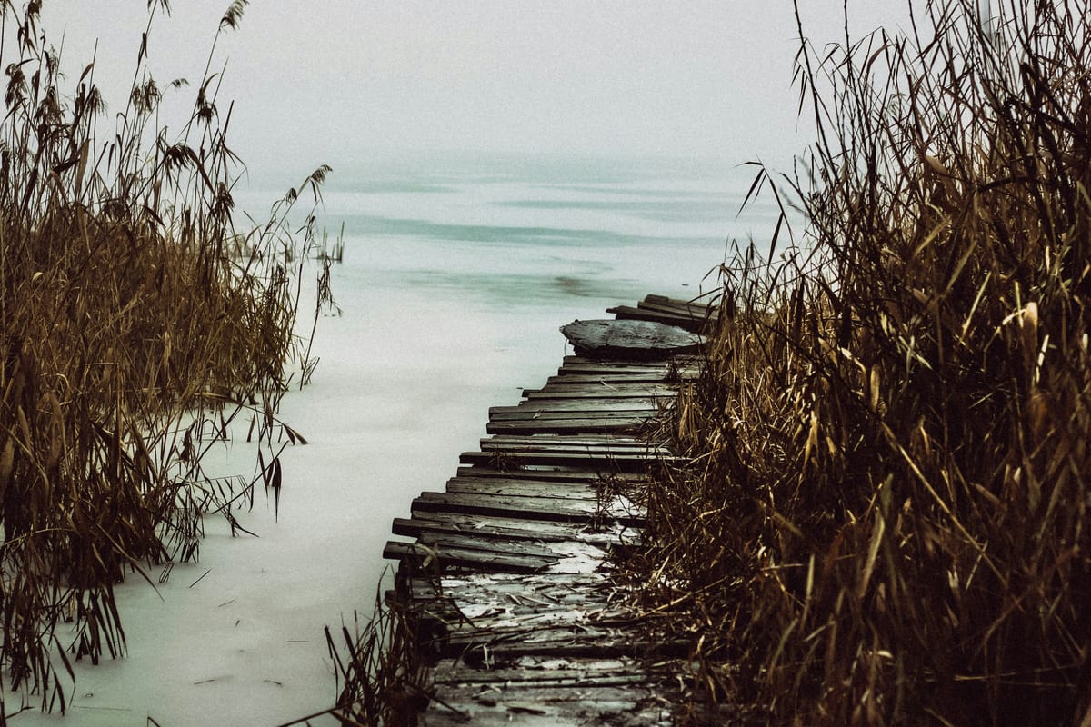 "Good judgment comes from experience. Experience comes from bad judgment." - Jim Horning