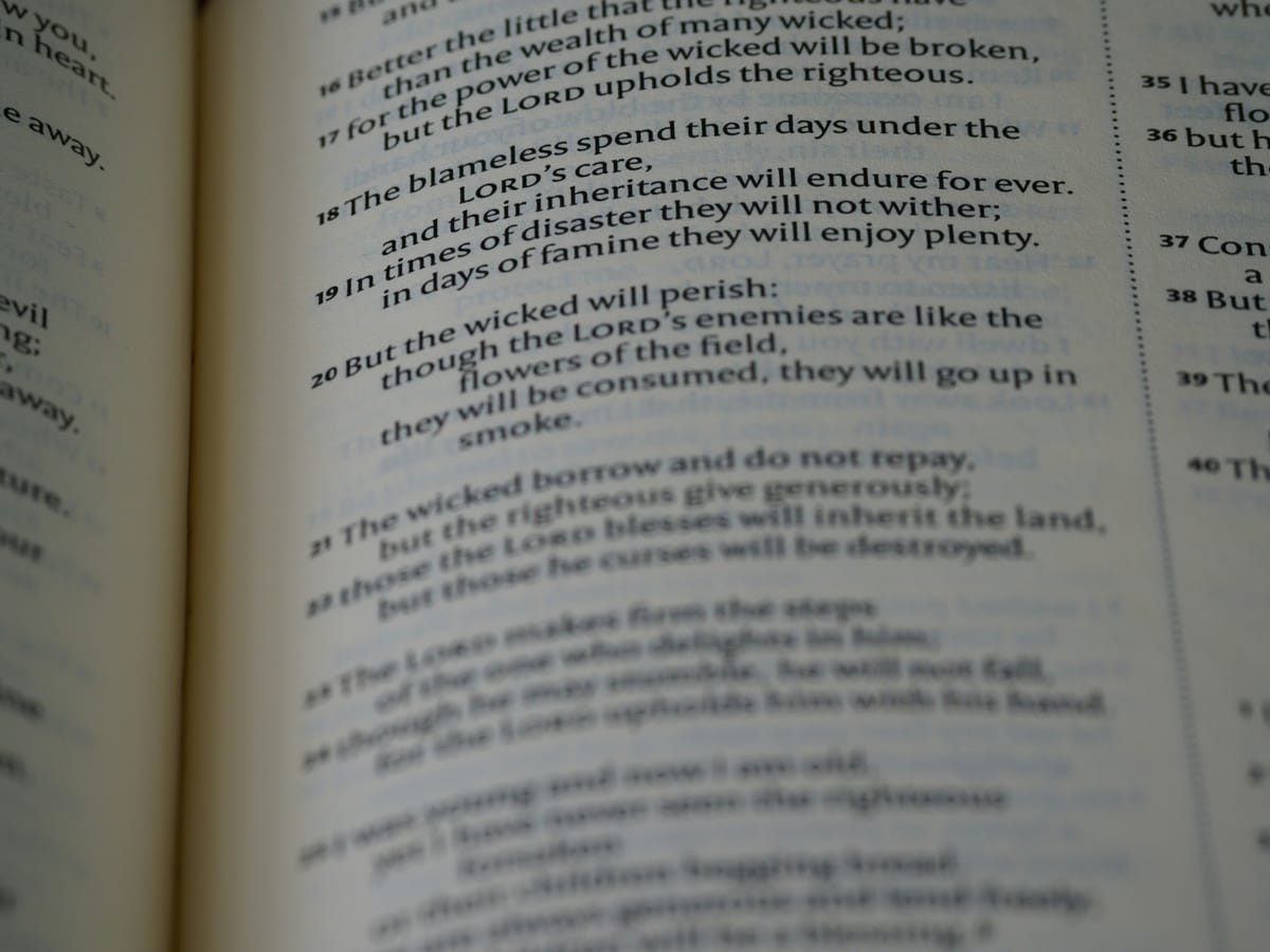 "Kleptomaniac, n.: A rich thief." - Ambrose Bierce, "The Devil's Dictionary"