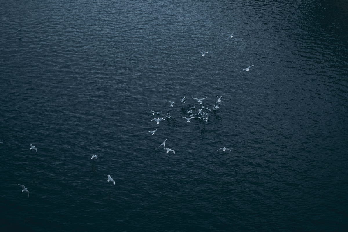 The biggest problem with communication is the illusion that it has occurred.