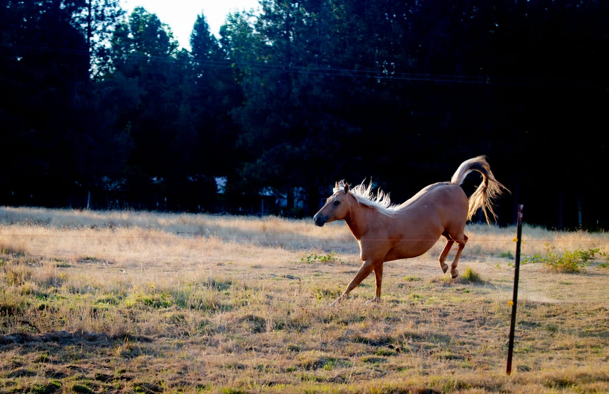 A truly wise man never plays leapfrog with a unicorn.