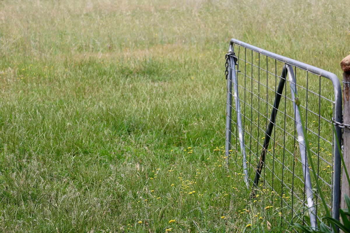 "Bounders get bound when they are caught bounding." - Ralph Lewin