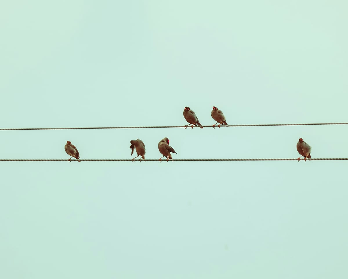 Hear about... the fellow who, upon being told by his shrewish wife that she would dance on his grave, promptly provided for a burial at sea?