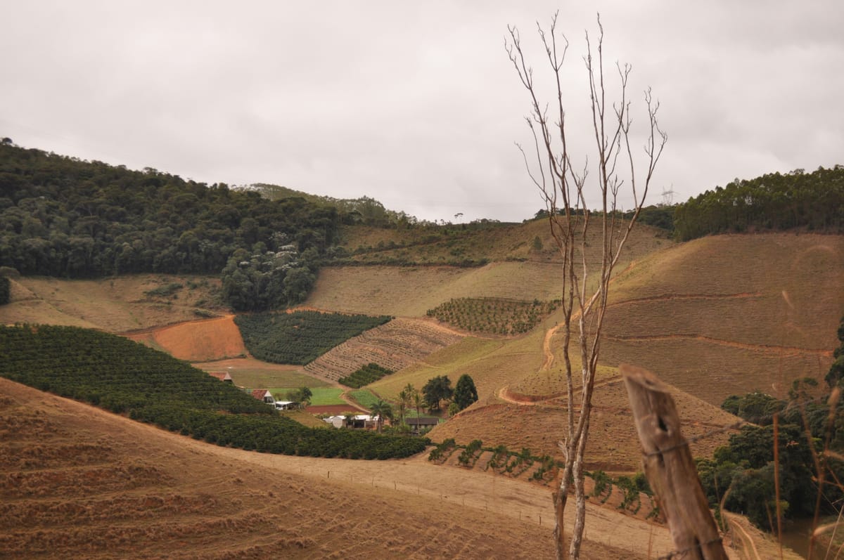 Help a swallow land at Capistrano.