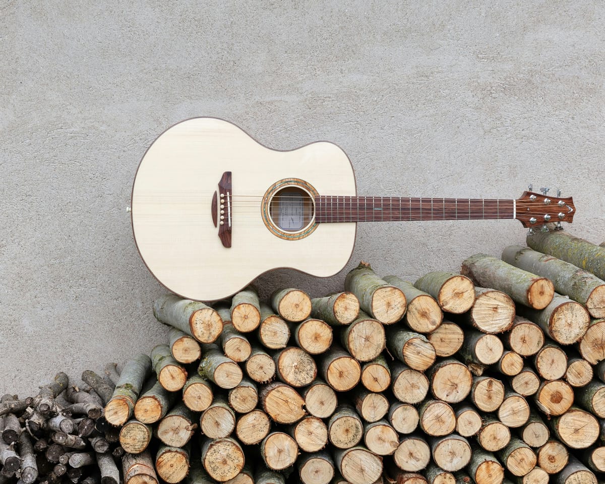 "Playing an unamplified electric guitar is like strumming on a picnic table." - Dave Barry, "The Snake"