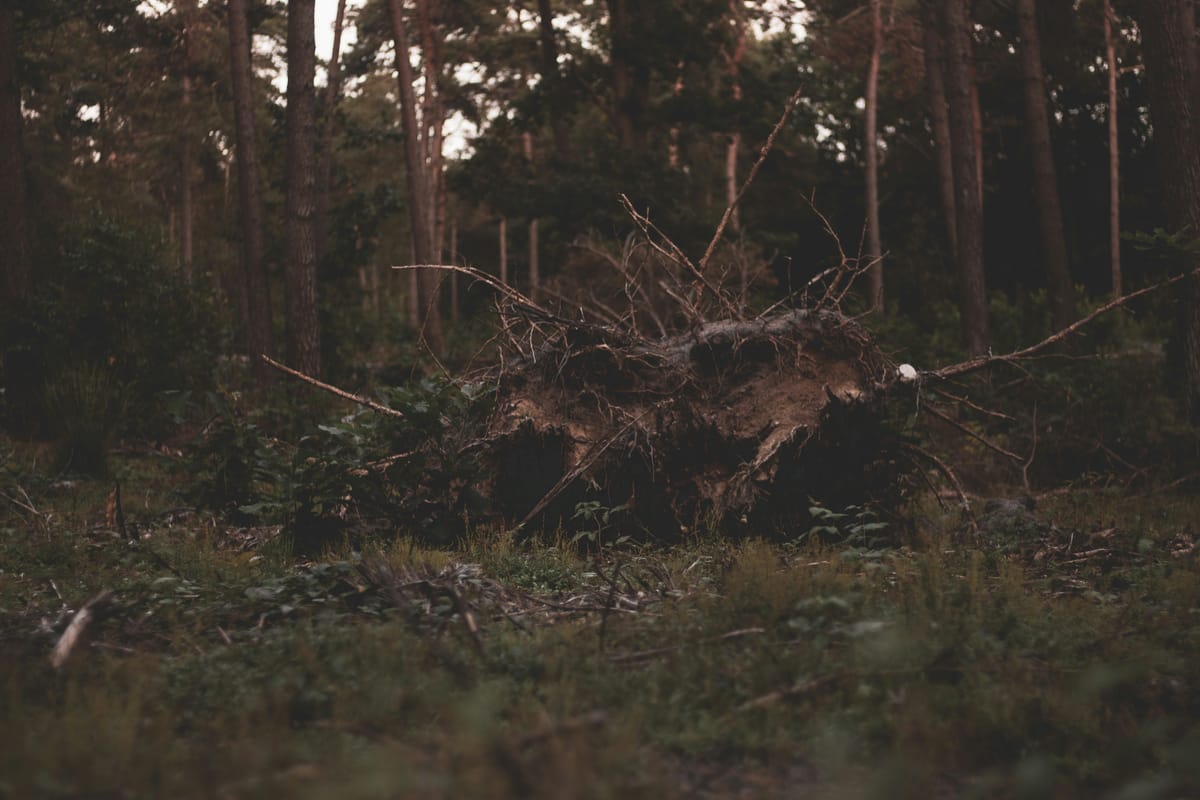 "In Nature there are neither rewards nor punishments, there are consequences." - R. G. Ingersoll