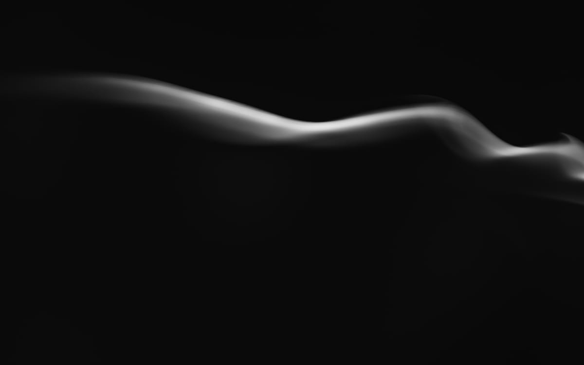 Flappity, floppity, flip The mouse on the m"obius strip; The strip revolved, The mouse dissolved In a chronodimensional skip.