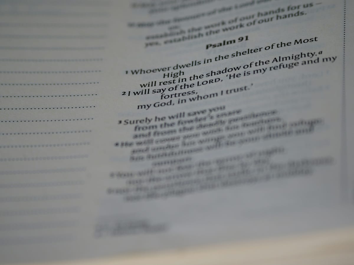 If I want your opinion, I'll ask you to fill out the necessary form.