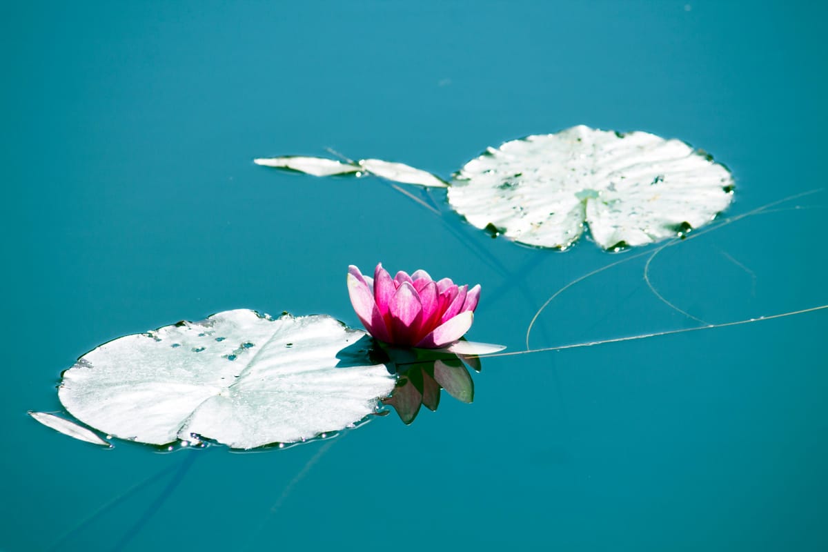 "The aim of science is to seek the simplest explanations of complex facts. Seek simplicity and distrust it." - Whitehead