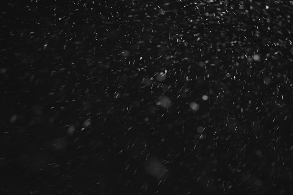 "Love conquers all things; let us too surrender to love." - Publius Vergilius Maro (Virgil)