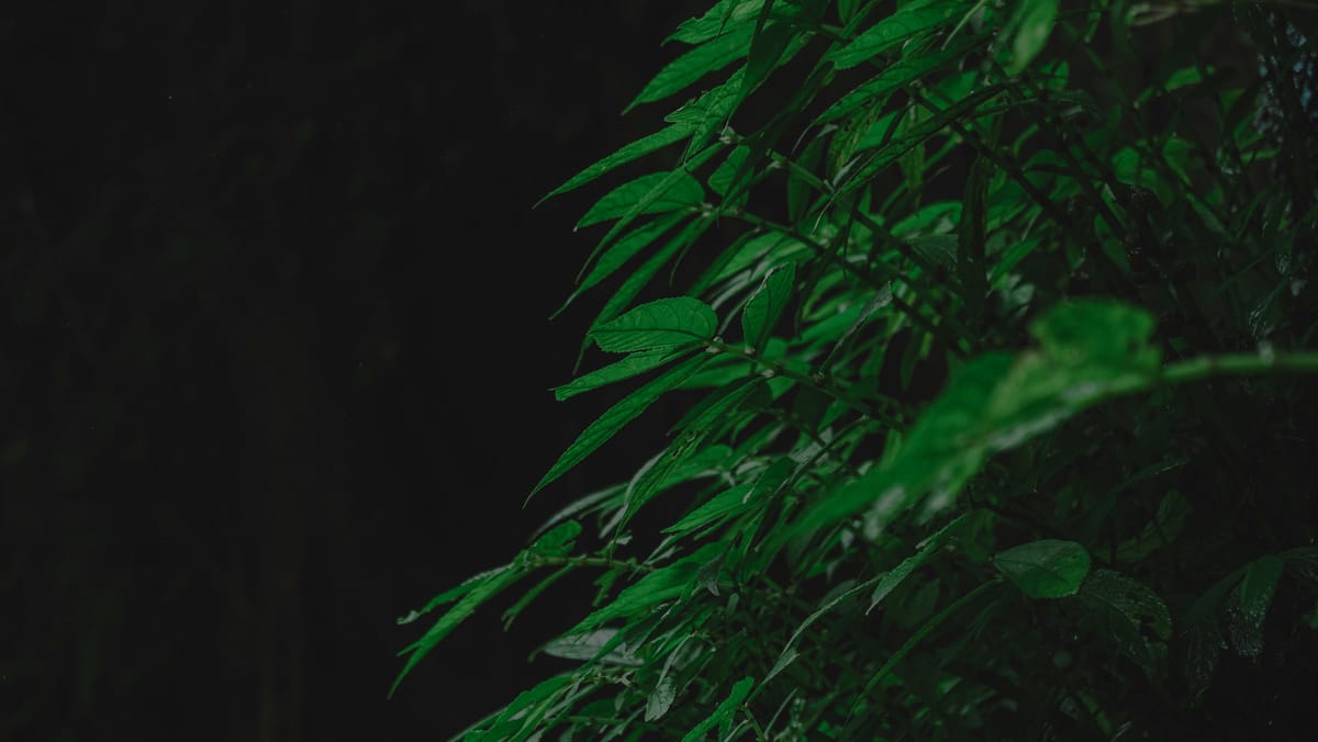 "A woman's best protection is a little money of her own." - Clare Booth Luce, quoted in "The Wit of Women"