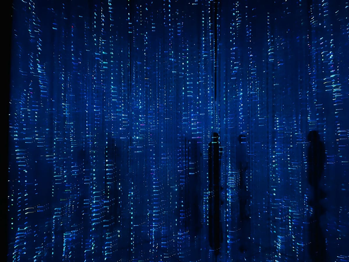 Information Processing: What you call data processing when people are so disgusted with it they won't let it be discussed in their presence.