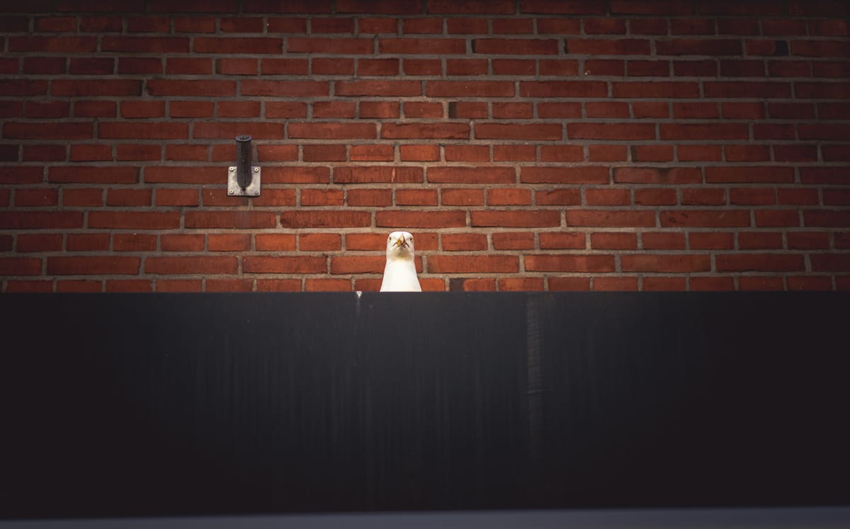 "Man's unique agony as a species consists in his perpetual conflict between the desire to stand out and the need to blend in." - Sydney J. Harris