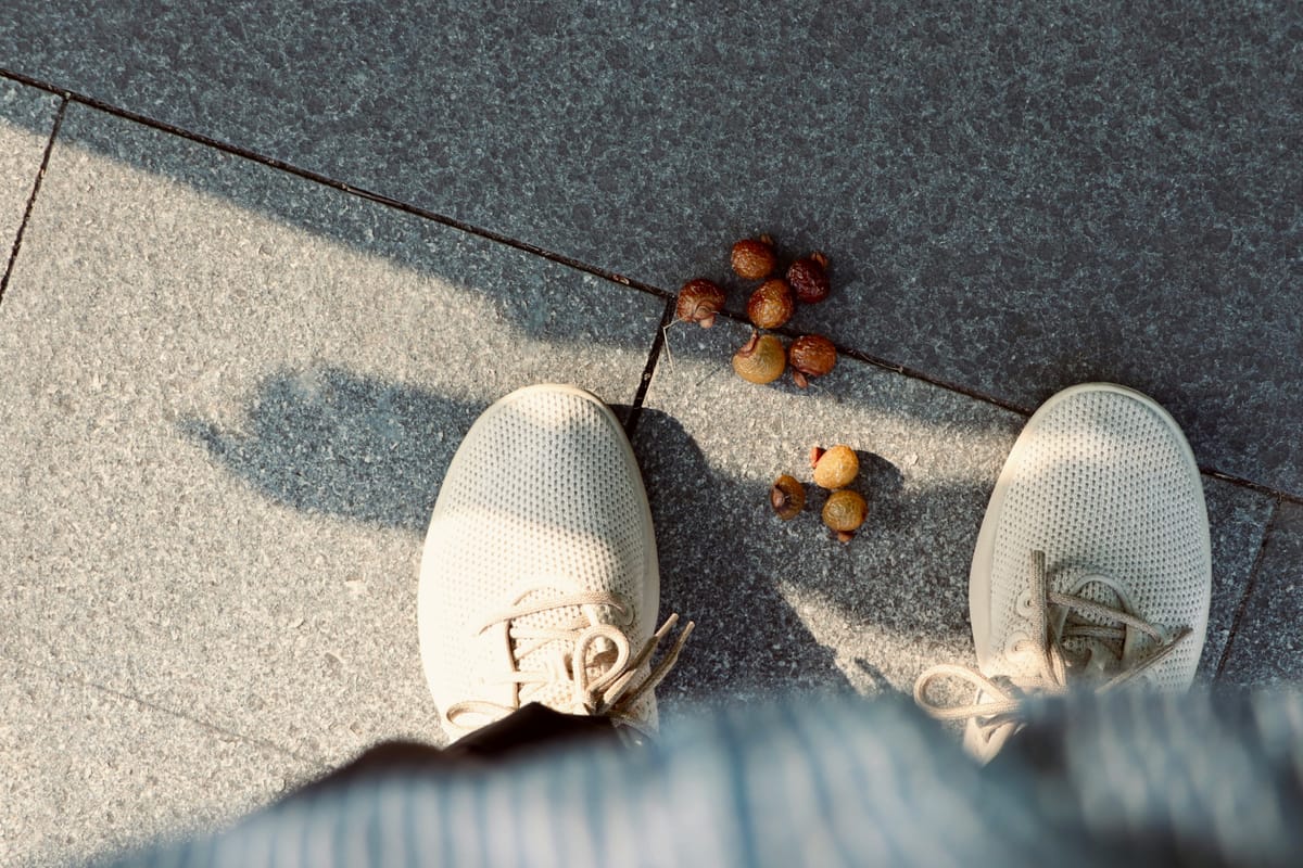 "Bad men live that they may eat and drink, whereas good men eat and drink that they may live." - Socrates