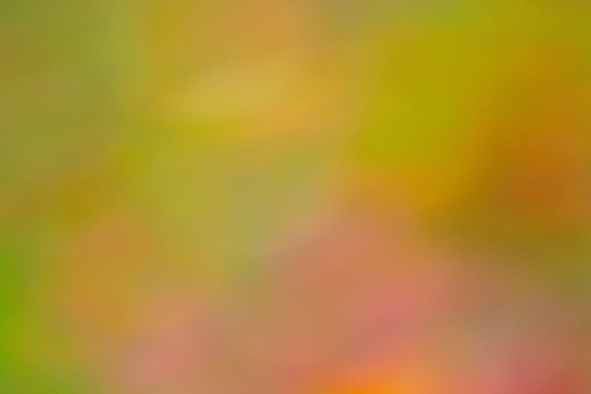 God said it, I believe it and that's all there is to it.