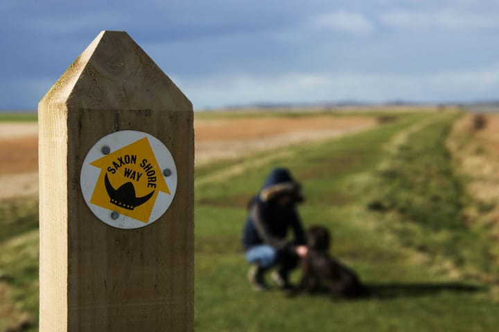 "The Anglo-Saxon conscience does not prevent the Anglo-Saxon from sinning, it merely prevents him from enjoying his sin." - Salvador De Madariaga