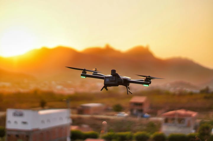 The opossum is a very sophisticated animal. It doesn't even get up until 5 or 6 PM.